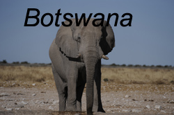 Wildlife and vast uninhabited wide open spaces make Botswana a remarkable vacation destination