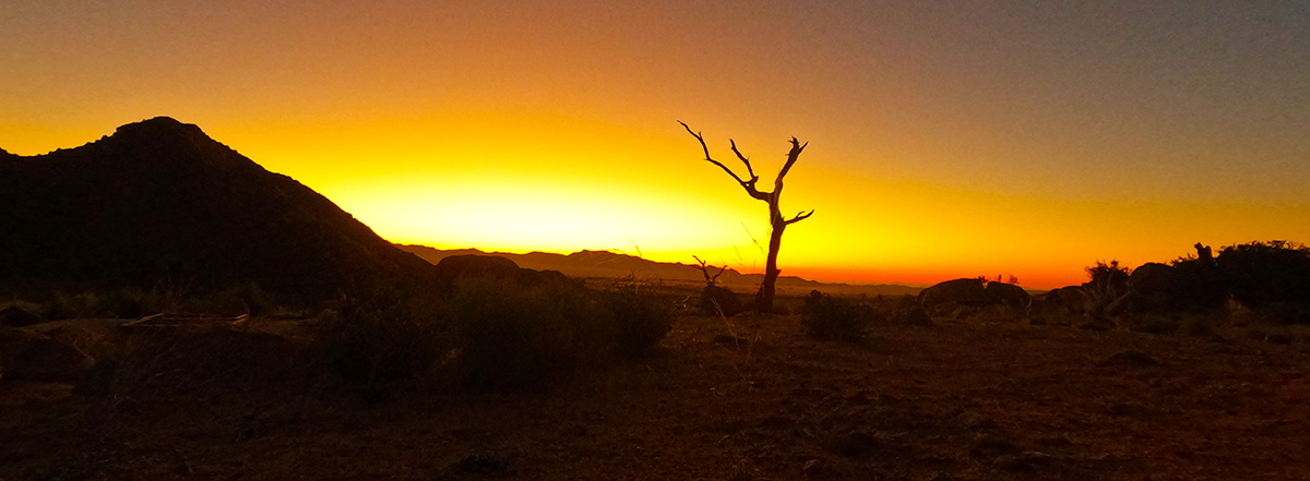 Aus Namibia