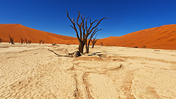 Picture taken at Deadvlei Namibia