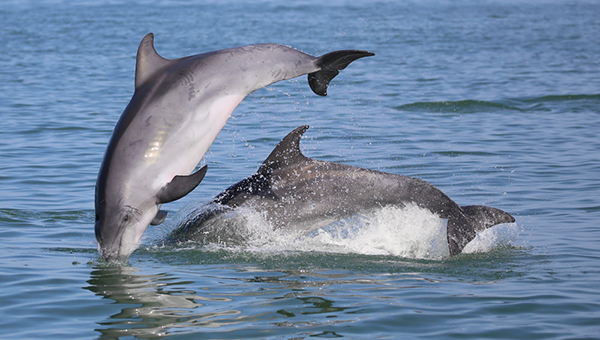 Picture taken at Walvis Bay Namibia