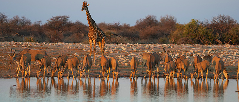 Road Trip Namibia Itinerary Map