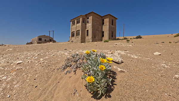 Picture taken at Kolmanskop luderitz Namibia