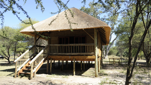 Picture taken at Lawdons Lodge Shakawe Botswana