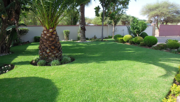 Picture taken at Living Guesthouse Gaborone Botswana