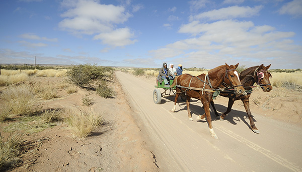 Road trip Namibia