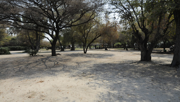 Picture taken at Okavango Camping Moremi  Botswana