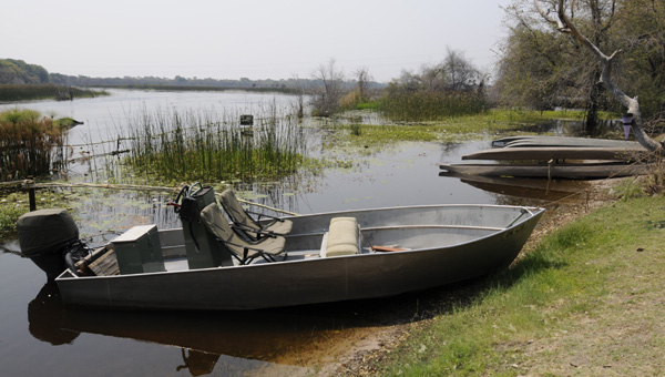 Picture taken at Okavango River Lodge Maun  Botswana