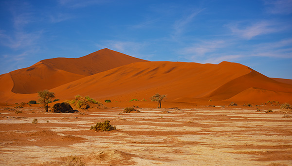 Picture taken at Big Daddy Dune Namibia