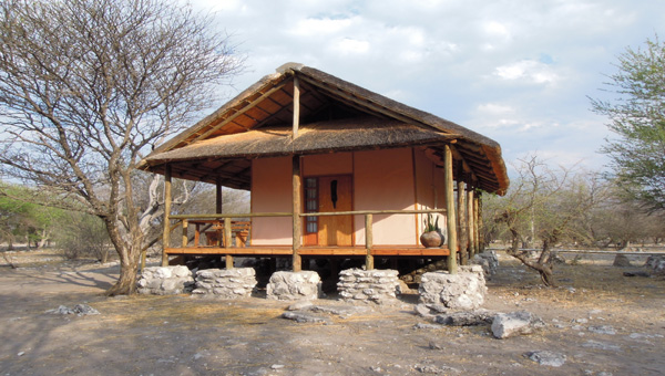 Picture taken at Thakadu River Camp Ghanzi Botswana