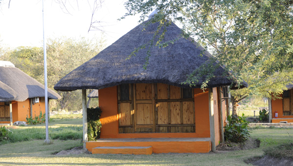 Picture taken at Toro Safari Lodge Kasane Botswana