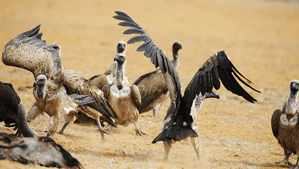 Picture taken at Waterberg Plateau Namibia