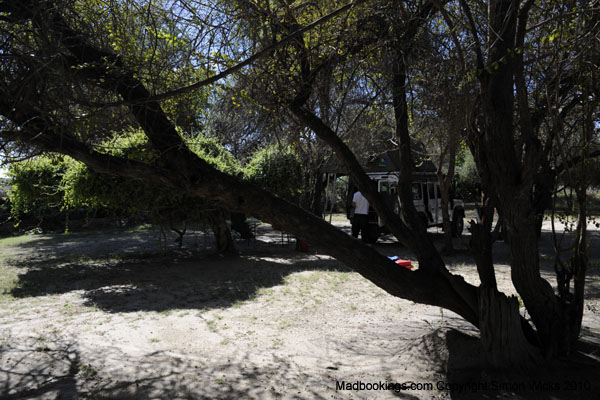 Picture taken at Okavango River Lodge Maun Botswana