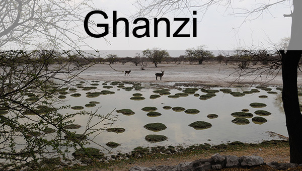 Picture taken at Ghanzi Botswana