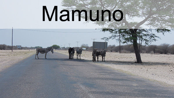 Picture taken at Mamuno Botswana