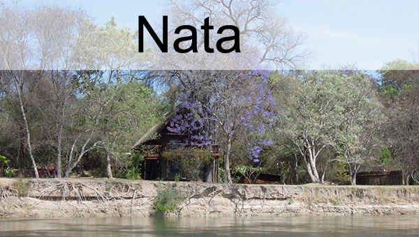 Picture taken at Nata Botswana