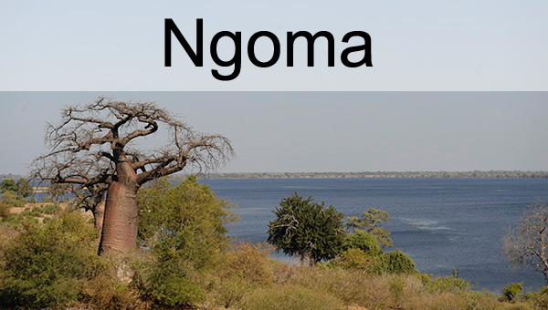 Picture taken at Ngoma Botswana