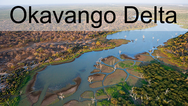 Picture taken Okavango Delta Botswana