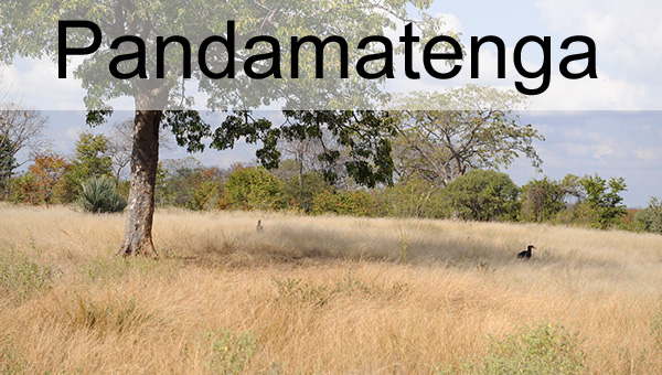 Picture taken at Pandamatenga Botswana