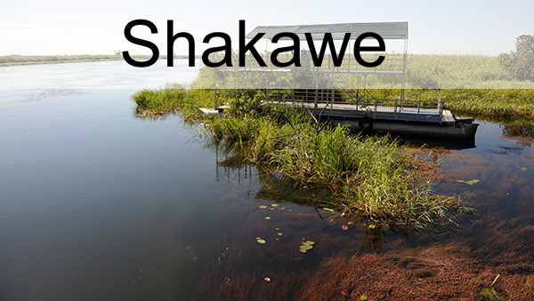 Picture taken in Shakawe Botswana