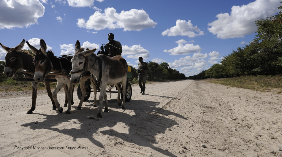 Botswana holiday and travel experience