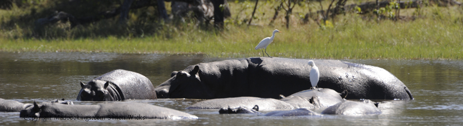 Botswana holiday and travel experience