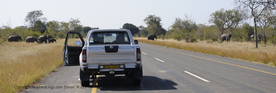 Botswana holiday and travel experience