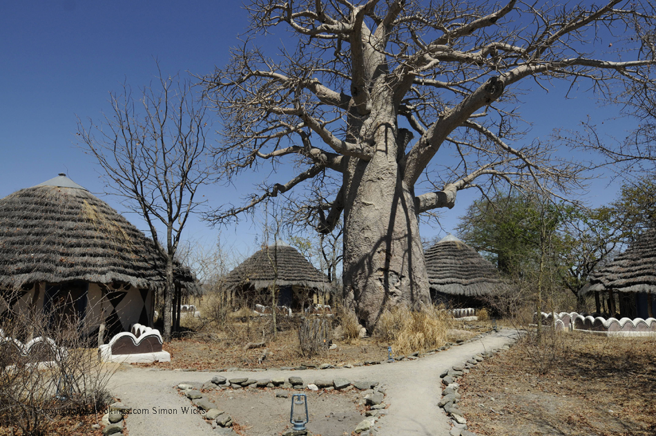 Botswana holiday and travel experience