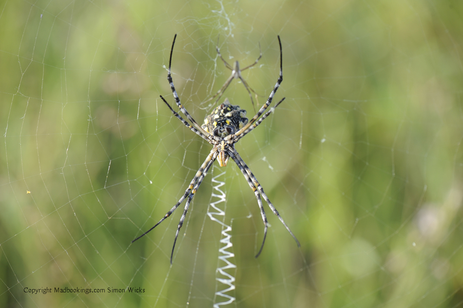 Botswana holiday and travel experience