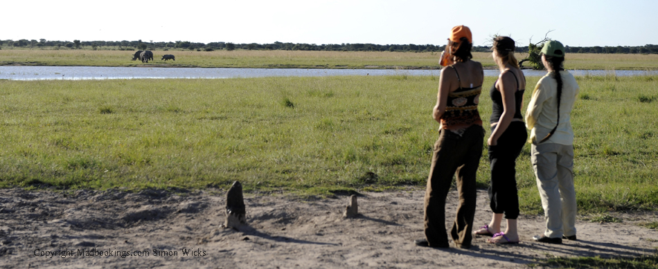 Botswana holiday and travel experience