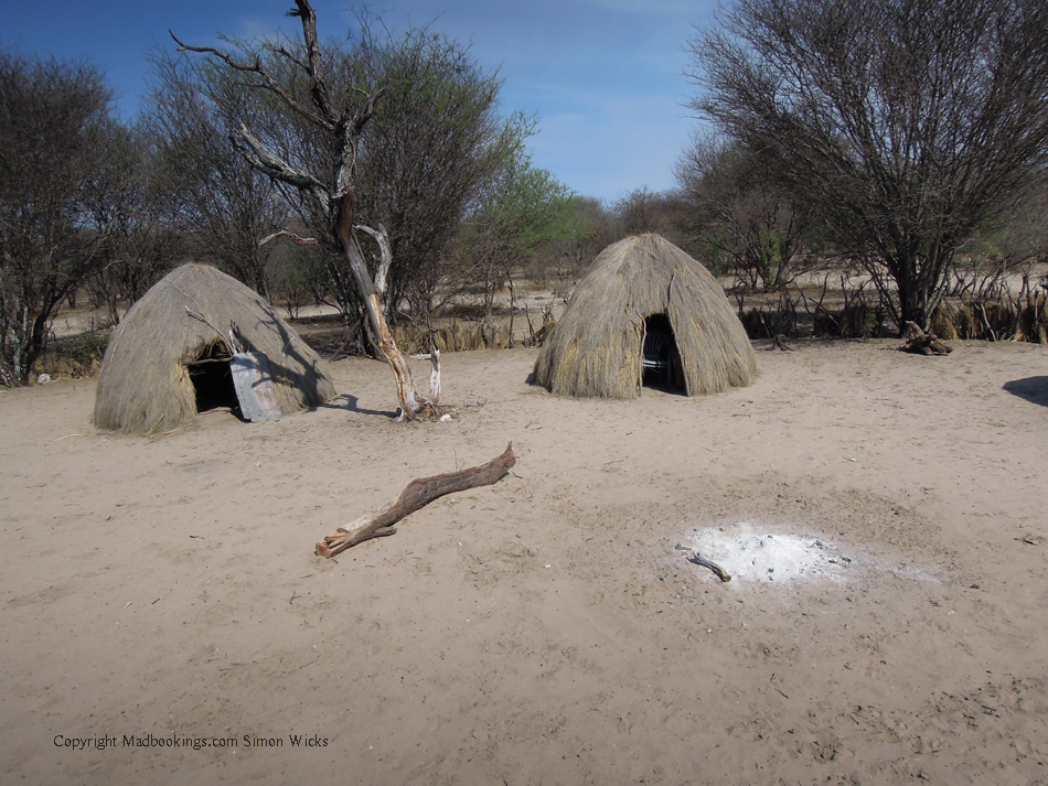 Botswana holiday and travel experience