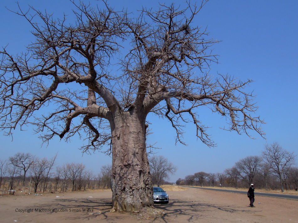 Botswana holiday and travel experience