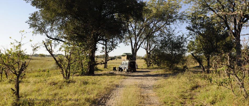 Botswana holiday and travel experience