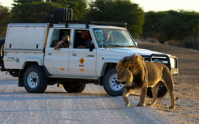 Bushlore CruS namibia car hire