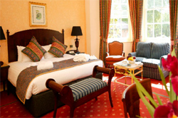 Ascot  places to stay