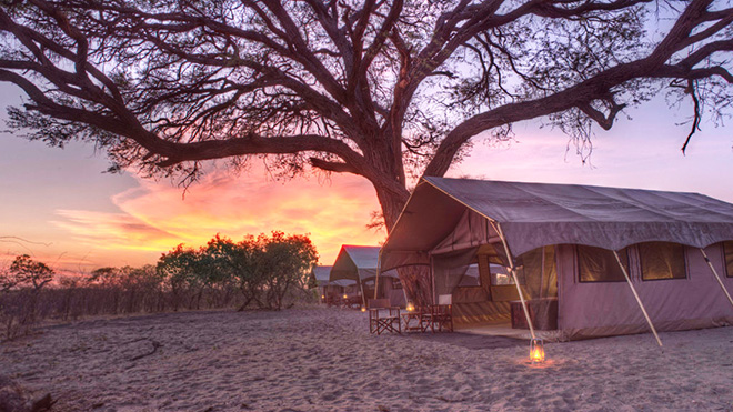 Picture taken at Chobe under canvas Chobe Botswana