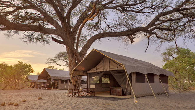 Picture taken at Savute under canvas Chobe Botswana