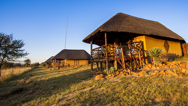 Picture taken at Tilodi Safari Lodge Botswana