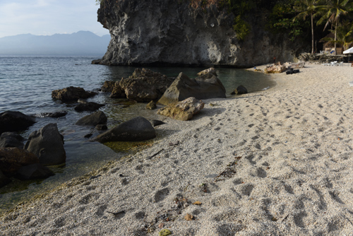 Apo Island