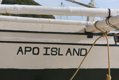 Apo Island