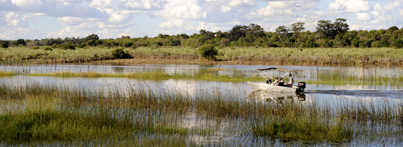 Botswana Guide