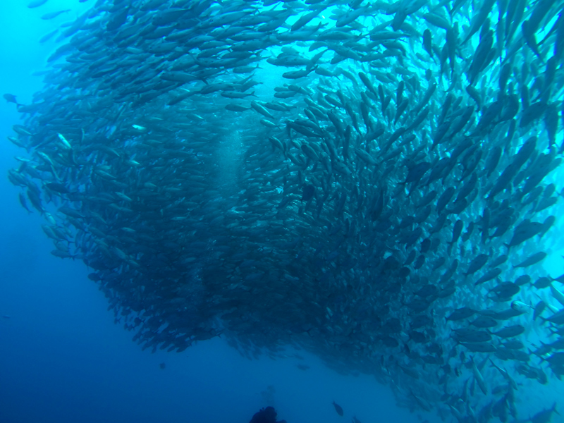 Gili Tranwangan