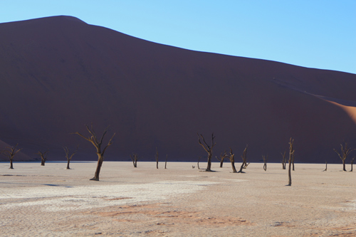 Namib desert sesreim and sossusvlei Namibia