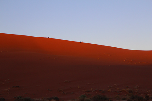 Namib desert sesreim and sossusvlei Namibia