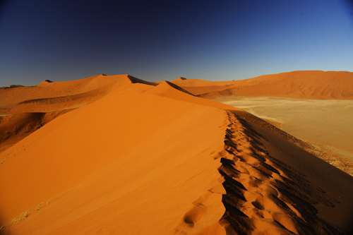 Namib desert sesreim and sossusvlei Namibia