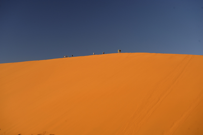 Dune 45 Namib desert