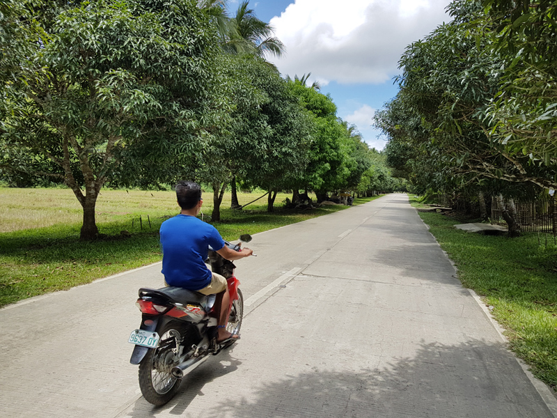 Siargao Island