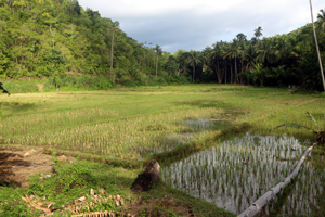 Siquijor Island