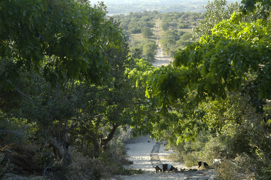 Mozambique