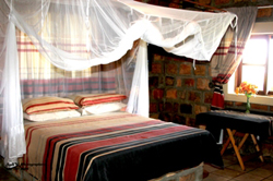 Shibumi Lodge