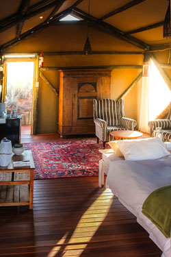 Teufelskrallen Tented Lodge Mariental